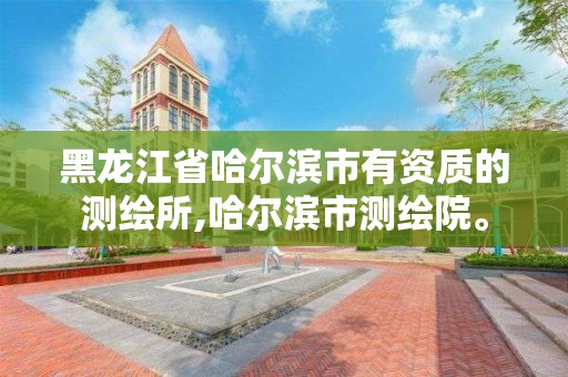 黑龍江省哈爾濱市有資質(zhì)的測繪所,哈爾濱市測繪院。