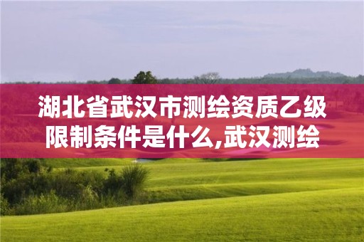 湖北省武漢市測(cè)繪資質(zhì)乙級(jí)限制條件是什么,武漢測(cè)繪設(shè)計(jì)院。