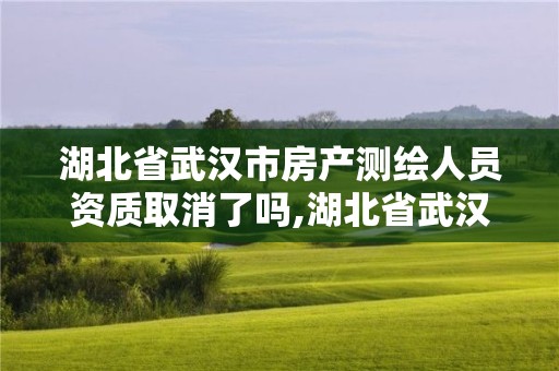 湖北省武漢市房產(chǎn)測(cè)繪人員資質(zhì)取消了嗎,湖北省武漢市房產(chǎn)測(cè)繪人員資質(zhì)取消了嗎今年。