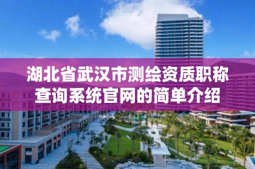 湖北省武漢市測繪資質職稱查詢系統官網的簡單介紹