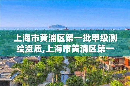 上海市黃浦區(qū)第一批甲級測繪資質(zhì),上海市黃浦區(qū)第一批甲級測繪資質(zhì)企業(yè)。