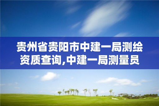 貴州省貴陽市中建一局測繪資質查詢,中建一局測量員工資。