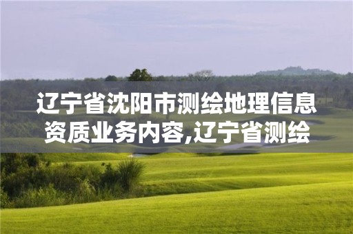 遼寧省沈陽市測繪地理信息資質業務內容,遼寧省測繪地理信息局招聘。