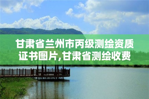 甘肅省蘭州市丙級測繪資質證書圖片,甘肅省測繪收費標準最新版。