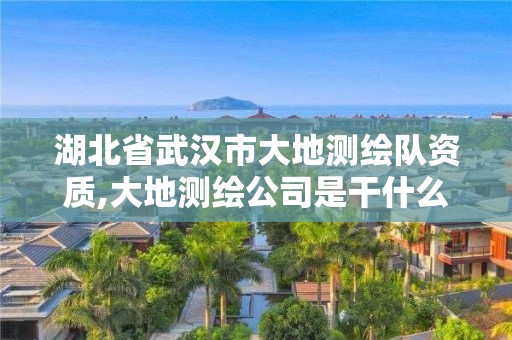 湖北省武漢市大地測繪隊資質,大地測繪公司是干什么的。