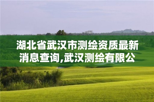 湖北省武漢市測繪資質(zhì)最新消息查詢,武漢測繪有限公司。