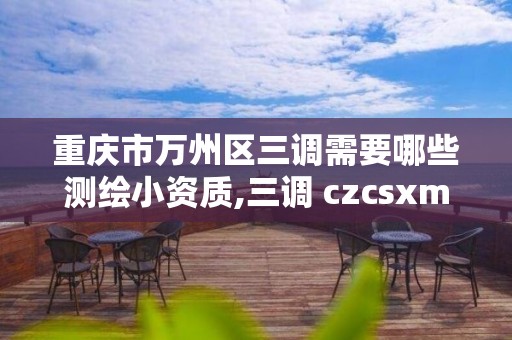 重慶市萬州區三調需要哪些測繪小資質,三調 czcsxm。