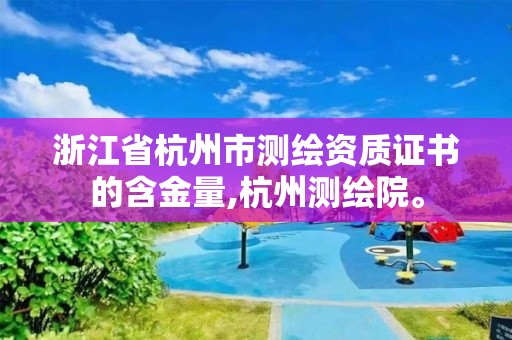 浙江省杭州市測繪資質證書的含金量,杭州測繪院。