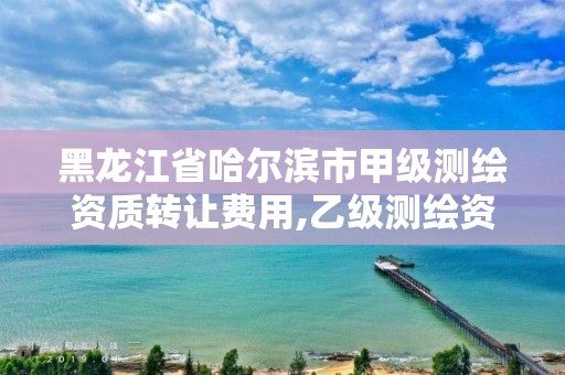 黑龍江省哈爾濱市甲級(jí)測(cè)繪資質(zhì)轉(zhuǎn)讓費(fèi)用,乙級(jí)測(cè)繪資質(zhì)轉(zhuǎn)讓多少錢。