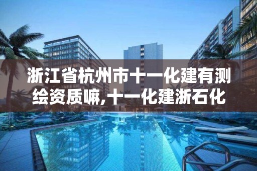 浙江省杭州市十一化建有測繪資質嘛,十一化建浙石化項目。