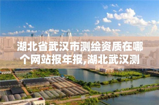 湖北省武漢市測繪資質在哪個網站報年報,湖北武漢測繪公司排行榜。