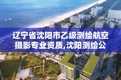 遼寧省沈陽市乙級測繪航空攝影專業資質,沈陽測繪公司招聘。