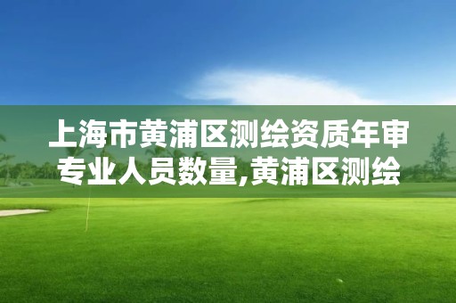 上海市黃浦區測繪資質年審專業人員數量,黃浦區測繪局。