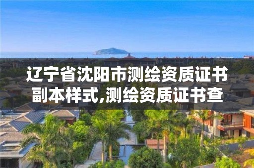 遼寧省沈陽市測繪資質證書副本樣式,測繪資質證書查詢。