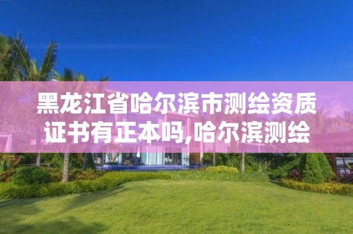 黑龍江省哈爾濱市測繪資質證書有正本嗎,哈爾濱測繪職工中等專業學校。