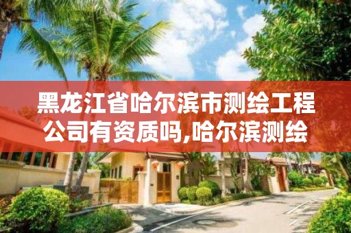 黑龍江省哈爾濱市測繪工程公司有資質嗎,哈爾濱測繪勘察研究院怎么樣。