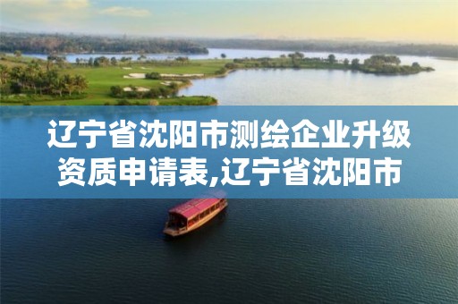 遼寧省沈陽市測繪企業升級資質申請表,遼寧省沈陽市測繪企業升級資質申請表最新。