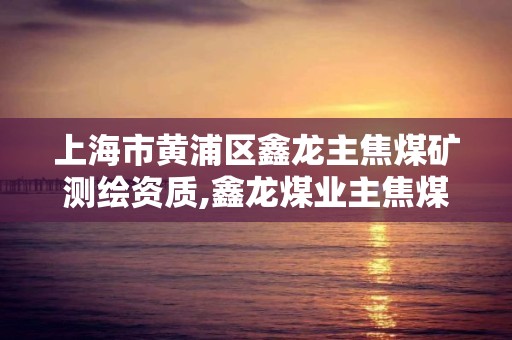 上海市黃浦區鑫龍主焦煤礦測繪資質,鑫龍煤業主焦煤礦。