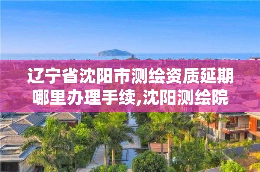 遼寧省沈陽市測繪資質延期哪里辦理手續,沈陽測繪院電話。