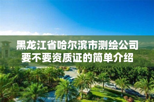 黑龍江省哈爾濱市測繪公司要不要資質證的簡單介紹