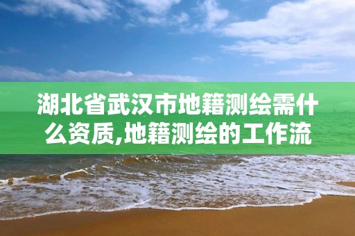 湖北省武漢市地籍測繪需什么資質,地籍測繪的工作流程是什么?。