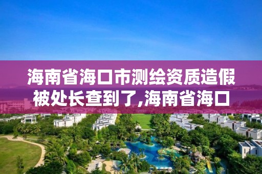 海南省海口市測繪資質造假被處長查到了,海南省海口市測繪資質造假被處長查到了嗎。