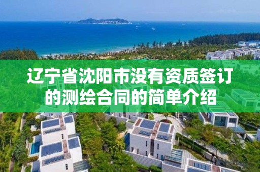 遼寧省沈陽市沒有資質(zhì)簽訂的測繪合同的簡單介紹