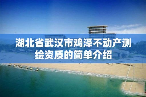 湖北省武漢市雞澤不動產測繪資質的簡單介紹