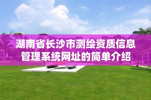 湖南省長沙市測繪資質信息管理系統網址的簡單介紹