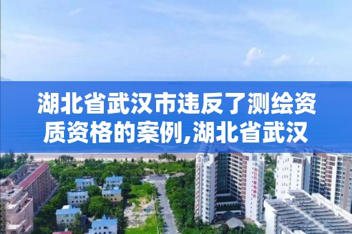 湖北省武漢市違反了測繪資質資格的案例,湖北省武漢市違反了測繪資質資格的案例有哪些。