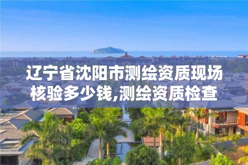 遼寧省沈陽市測繪資質現場核驗多少錢,測繪資質檢查都檢查啥。