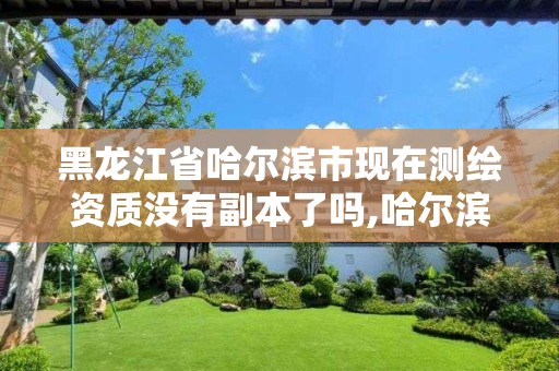 黑龍江省哈爾濱市現在測繪資質沒有副本了嗎,哈爾濱測繪局幼兒園是民辦還是公辦。