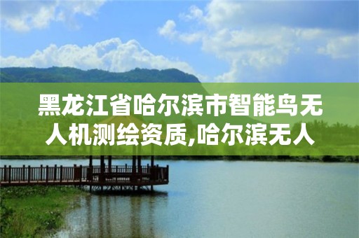 黑龍江省哈爾濱市智能鳥無人機測繪資質,哈爾濱無人機培訓學校。