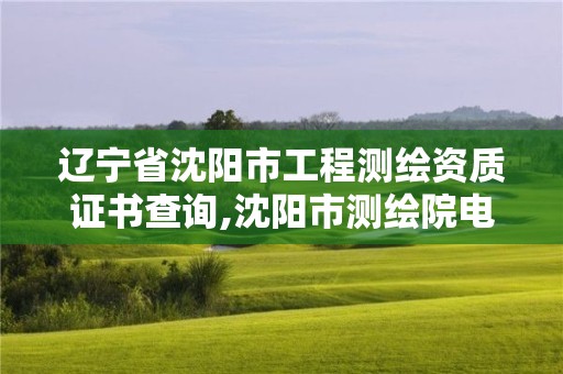 遼寧省沈陽市工程測(cè)繪資質(zhì)證書查詢,沈陽市測(cè)繪院電話。