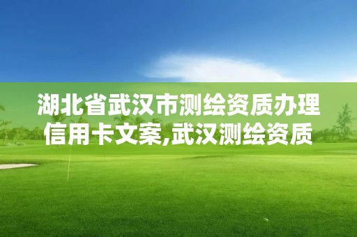 湖北省武漢市測繪資質辦理信用卡文案,武漢測繪資質代辦。