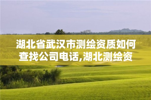 湖北省武漢市測繪資質如何查找公司電話,湖北測繪資質查詢。