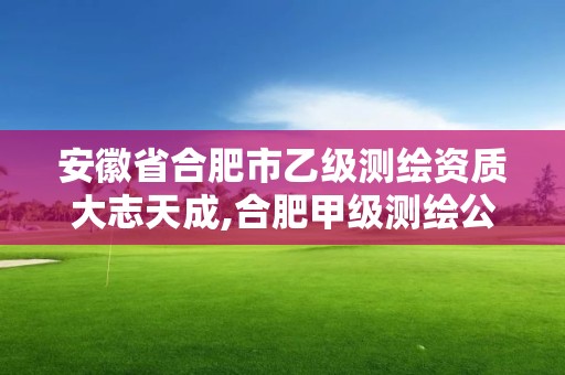 安徽省合肥市乙級測繪資質大志天成,合肥甲級測繪公司。