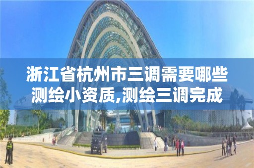 浙江省杭州市三調需要哪些測繪小資質,測繪三調完成后還有什么項目。