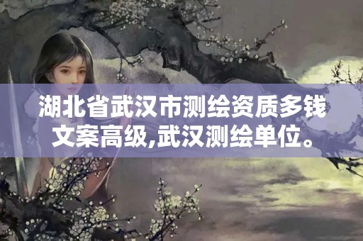 湖北省武漢市測繪資質(zhì)多錢文案高級,武漢測繪單位。