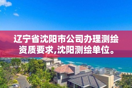 遼寧省沈陽市公司辦理測繪資質要求,沈陽測繪單位。