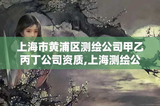 上海市黃浦區(qū)測(cè)繪公司甲乙丙丁公司資質(zhì),上海測(cè)繪公司排名名單。