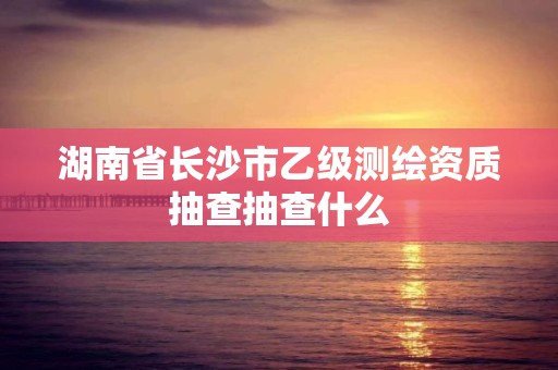 湖南省長(zhǎng)沙市乙級(jí)測(cè)繪資質(zhì)抽查抽查什么