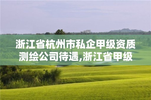 浙江省杭州市私企甲級資質測繪公司待遇,浙江省甲級測繪資質單位。