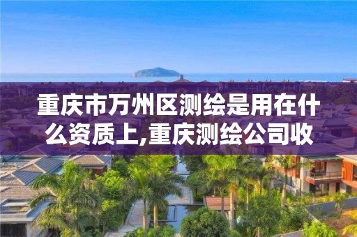 重慶市萬州區測繪是用在什么資質上,重慶測繪公司收費標準。