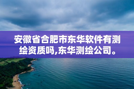 安徽省合肥市東華軟件有測繪資質嗎,東華測繪公司。