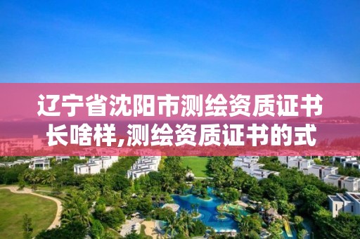 遼寧省沈陽市測繪資質證書長啥樣,測繪資質證書的式樣。