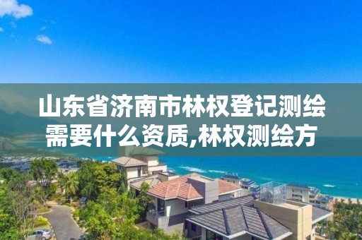 山東省濟南市林權登記測繪需要什么資質,林權測繪方案。