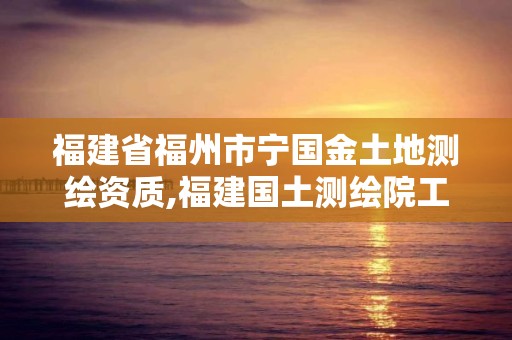 福建省福州市寧國金土地測繪資質,福建國土測繪院工作怎么樣。