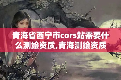 青海省西寧市cors站需要什么測繪資質,青海測繪資質辦理。