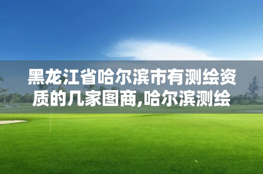 黑龍江省哈爾濱市有測繪資質的幾家圖商,哈爾濱測繪公司有哪些。